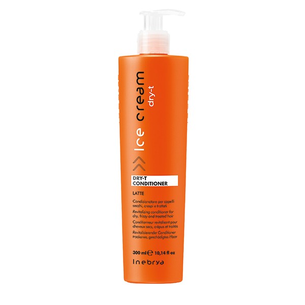 Acondicionador Dry-T 300ml New Inebrya