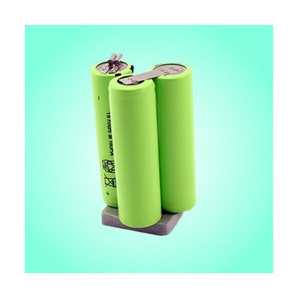 Bateria X 1871-1872 Rep. 80