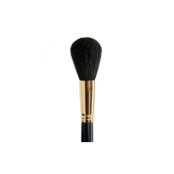 Brocha PB29 Colorete