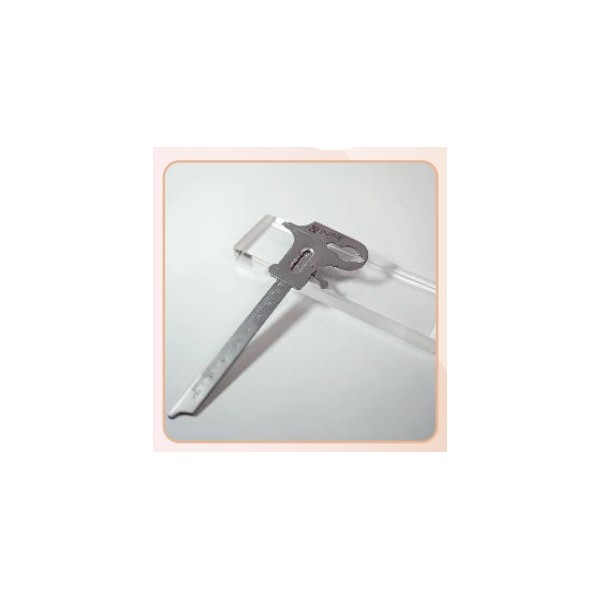 Caliper Stainless Steel