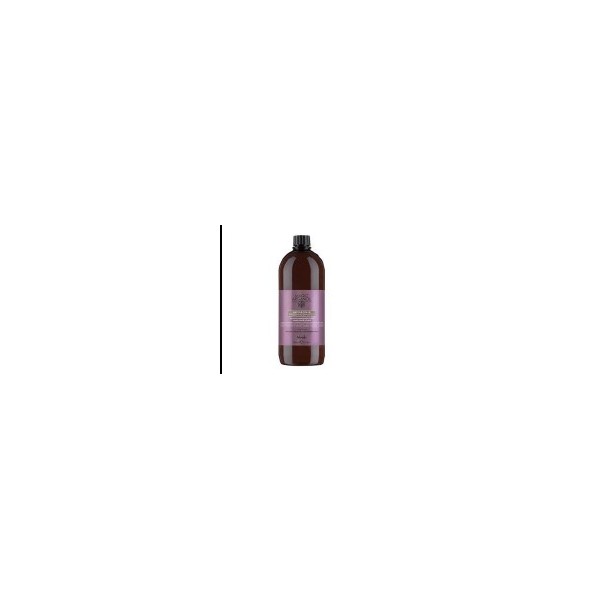 Champú Mantenimiento Preservador Nectar Color Nook 1000 ML (27149)