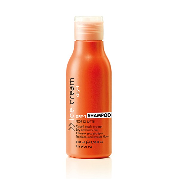 Champu Dry-T 100ml New Inebrya