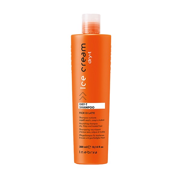 Champu Dry-T 300ml New Inebrya