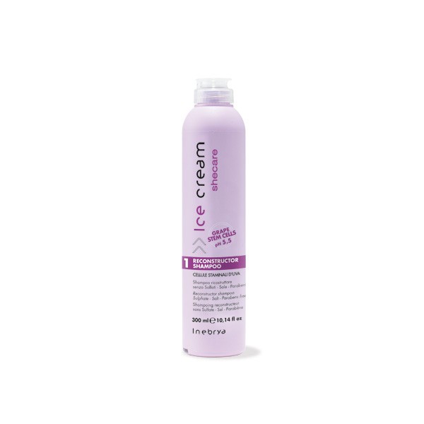 Champu Reconstructor Shecare 300ml New Inebrya