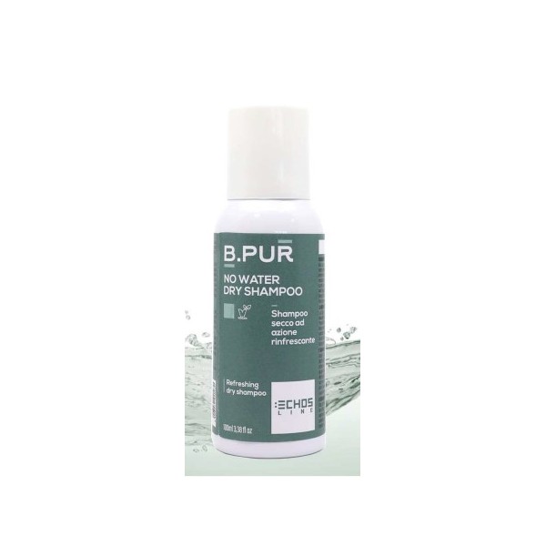Champu en Seco 100ml B.PUR