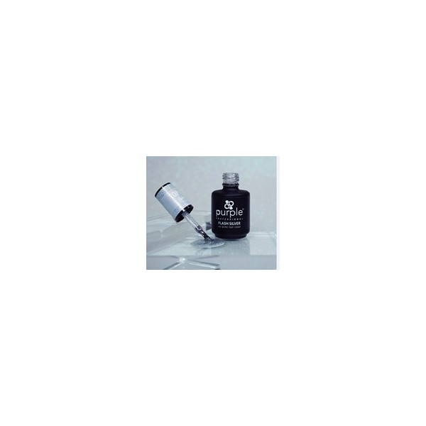 Flash Silver No Wipe Top Coat 15 ml