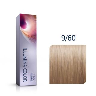 COWEL40960