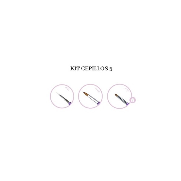 Kit Brushes 5 (P772 + P1532 + Offer P577) (999)