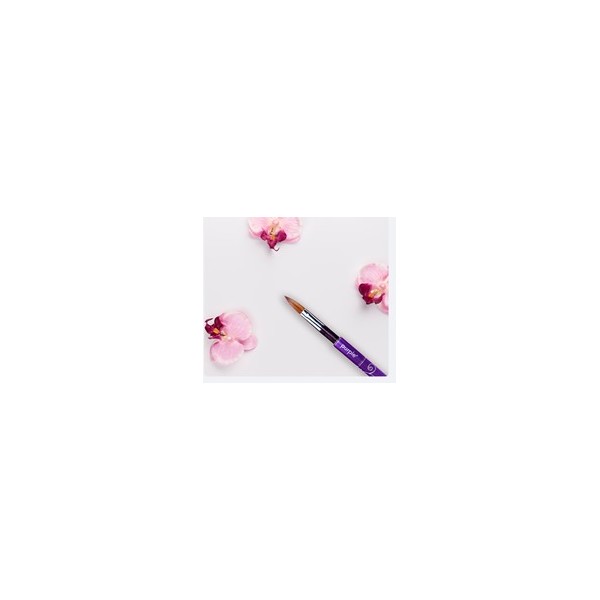 Pincel Oval Acrylic 100% Brush  #8 (metalic Handle)