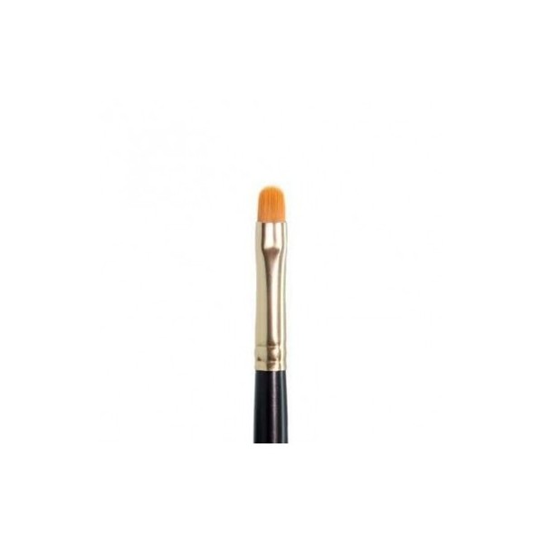 Pincel PB01 Correcciones