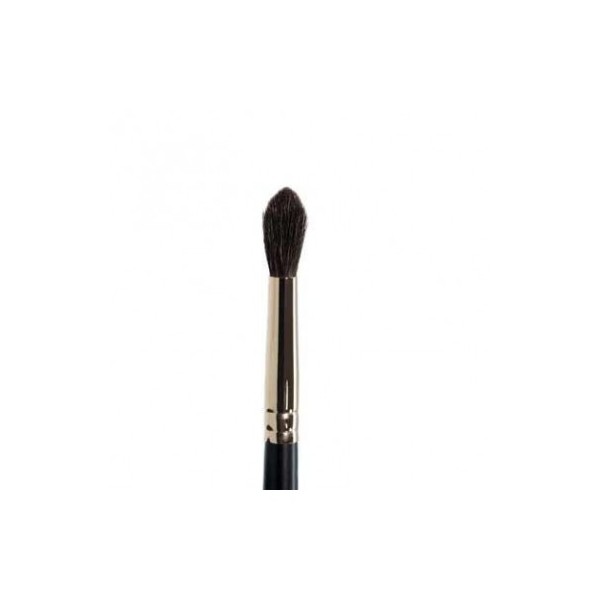 Pincel PB02 Correcciones