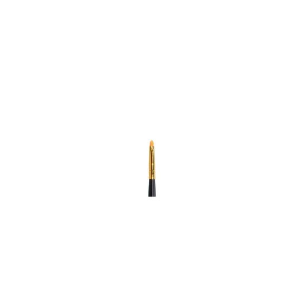 Pincel PB05 Precisión Labios