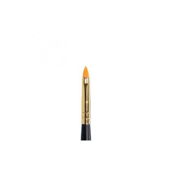 Pincel PB25 Labios