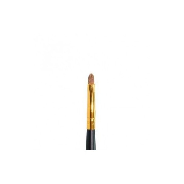 Pincel PB26 Labios