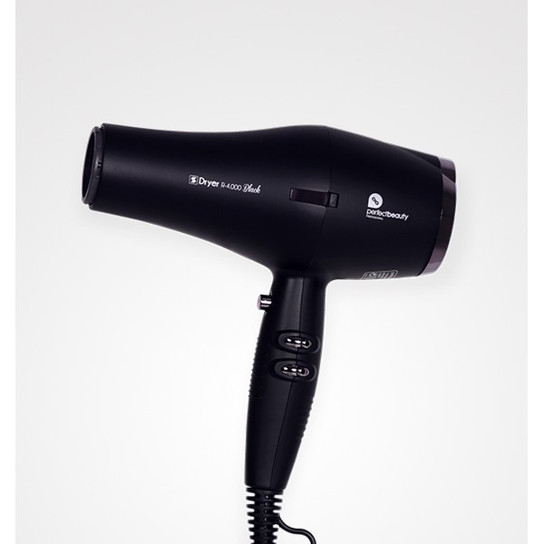 Secador Profesional con Iones Negativos Black R-4.000