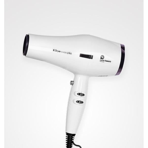 Secador Profesional con Iones Negativos White R-4.000